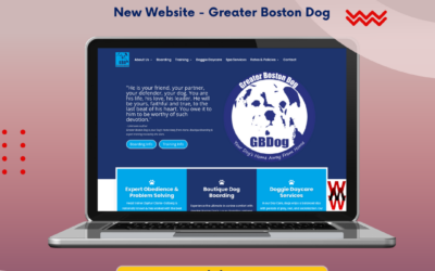 Greater Boston Dog Website Launch